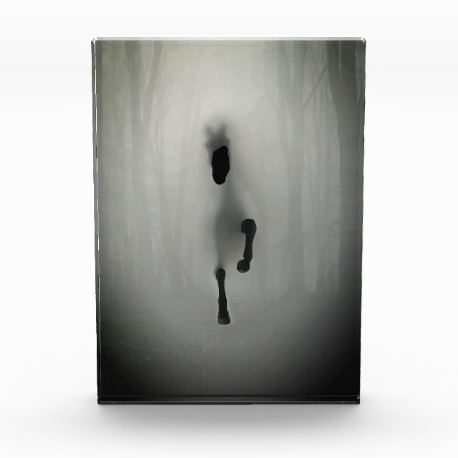 Mysterious Black Horse Running in Misty Fog Forest Fotoblock (Vorderseite)