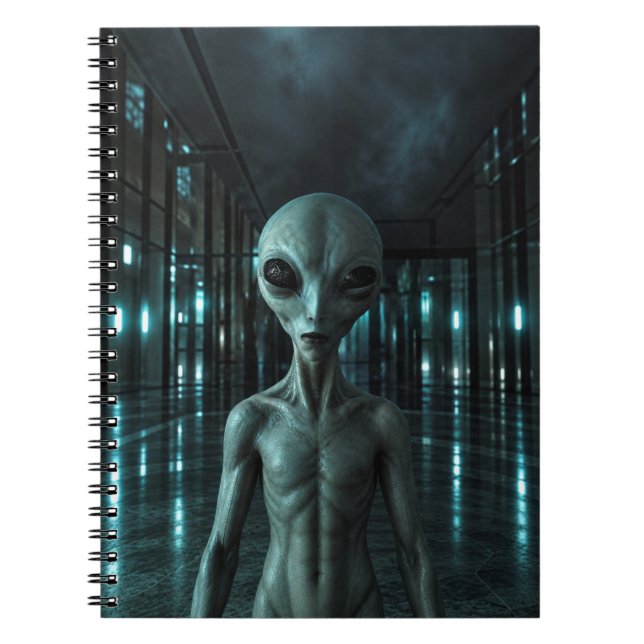 Mysterious Grey Alien Notizblock (Vorderseite)