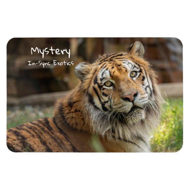 Mystery -  magnet (Horizontal)