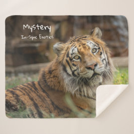 Mystery -  sherpadecke