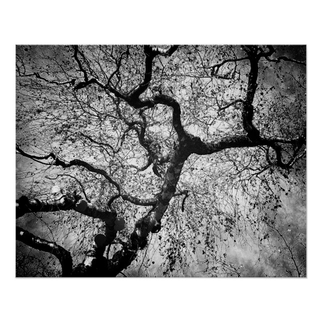 Mystery tree black and white poster (Vorderseite)