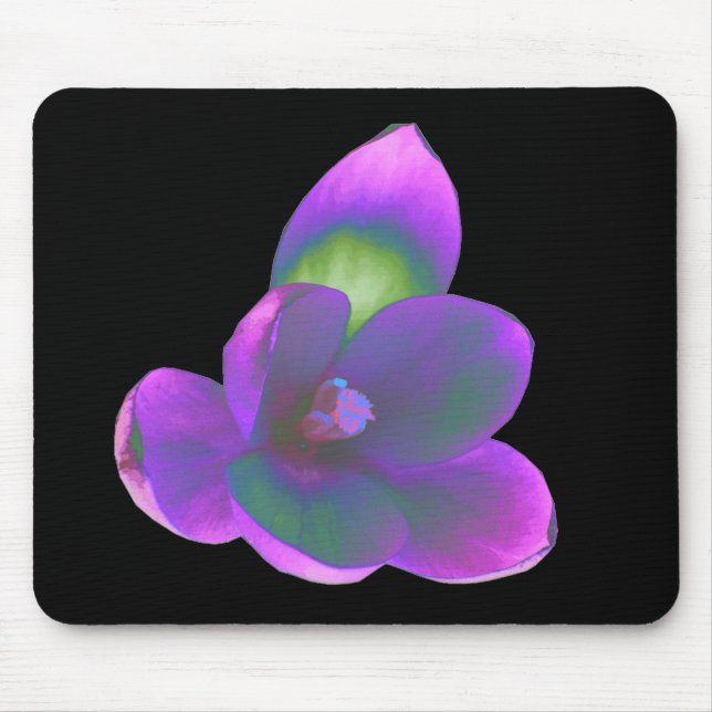 Mystic Beauty Crocus Blume Mousepad (Vorne)