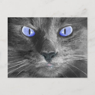 Mystic Cat Postcard Postkarte
