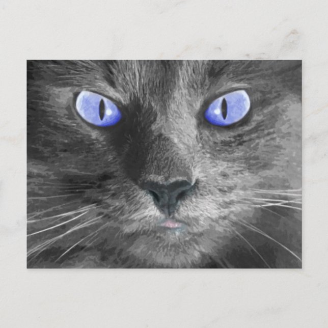 Mystic Cat Postcard Postkarte (Vorderseite)