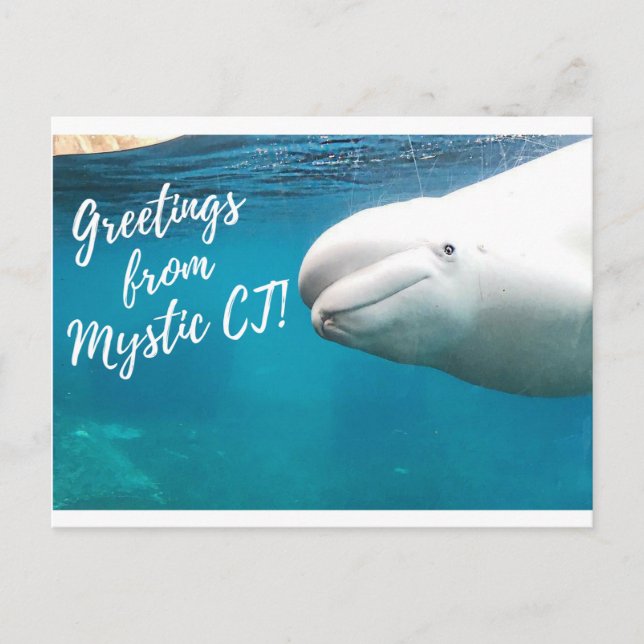 Mystic CT Post Card - Burger Post Art #004 unterze Postkarte (Vorderseite)
