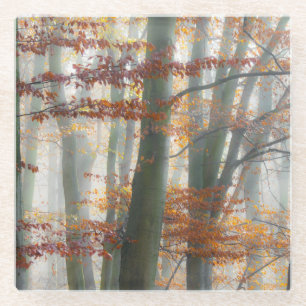 Mystic Foggy Forest im Herbst Landschaftlich, Tisc Glasuntersetzer