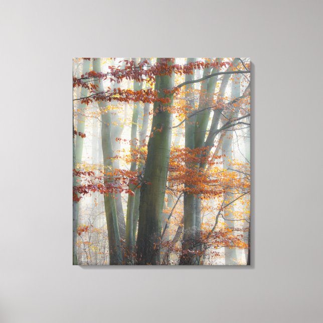 Mystic Foggy Forest im Herbst Leinwanddruck (Vorderseite)