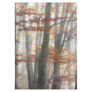 Mystic Foggy Forest im Herbst Tischdecke