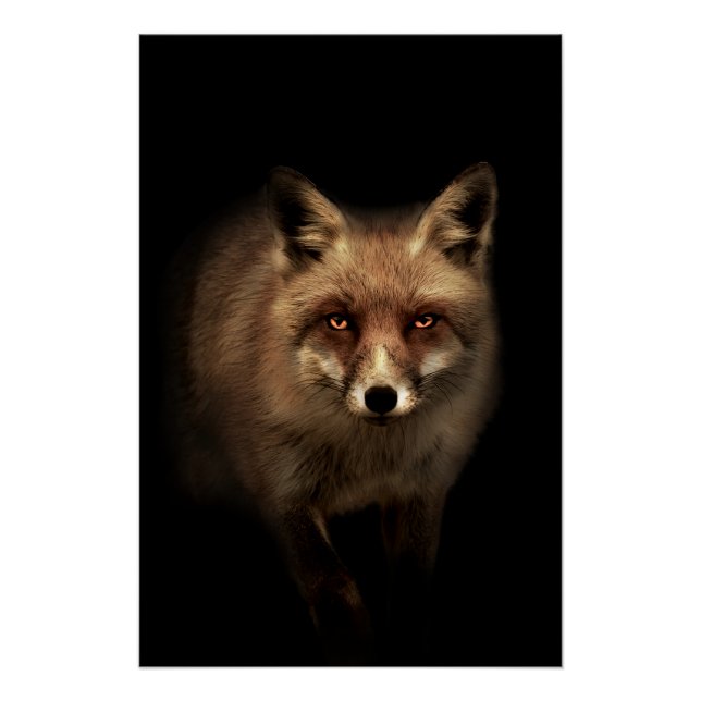 Mystic Fox Poster (Vorderseite)