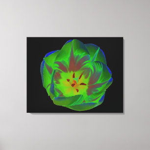 Mystic Green Tulip Canvas Print Leinwanddruck