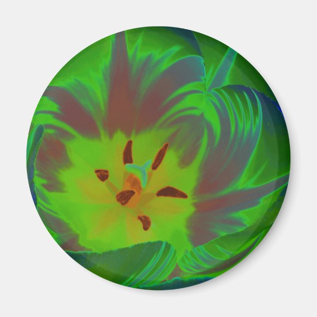 Mystic Green Tulip Magnet (Vorne)