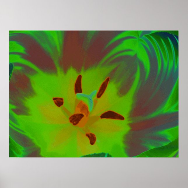 Mystic Green Tulip Poster (Vorne)