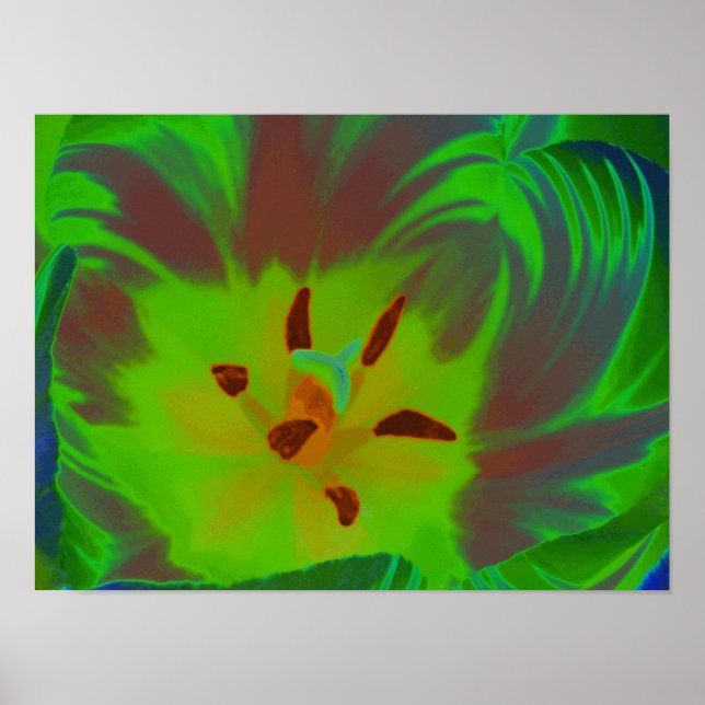 Mystic Green Tulip Poster (Vorne)