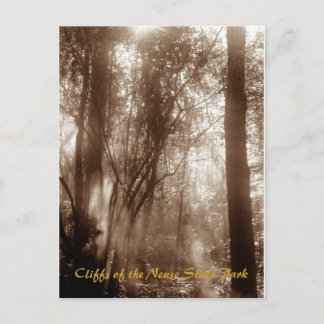 Mystic Morning CN1 - postcard Postkarte