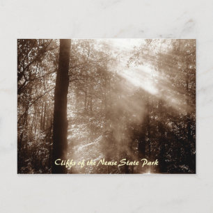 Mystic Morning CN4 - Postkarte