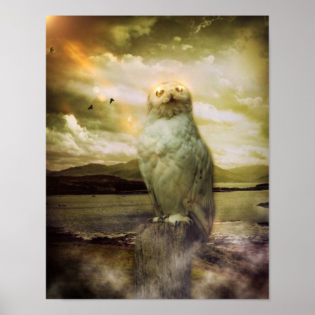 Mystic Owl Poster (Vorne)