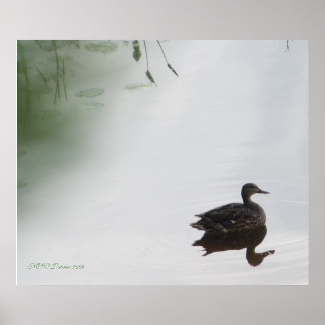 Mystical Duck Poster (Vorne)