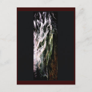 Mystical Horse Postcard Postkarte