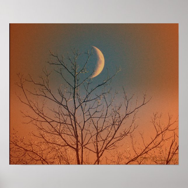 Mystical Lächelnd Moon Poster (Vorne)