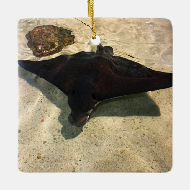Mystical Stingray Keramikornament (Vorderseite)