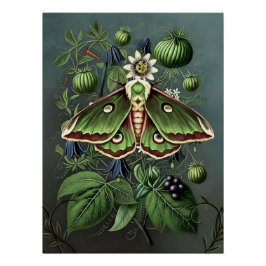 Mystical Woodland Moth Poster