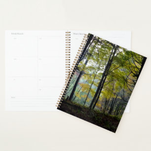 Mystical Woods Quechee Gorge Planer