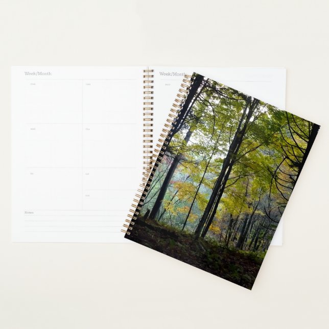 Mystical Woods Quechee Gorge Planer (Anzeige)