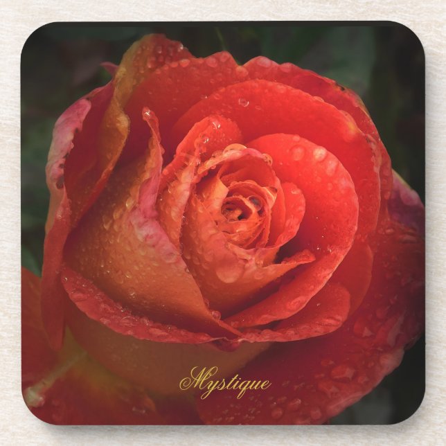 Mystique Dark Botanical Red Orange Rose Coaster Getränkeuntersetzer (Vorderseite)
