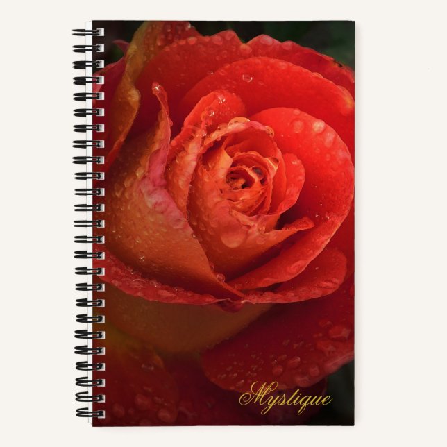 Mystique Dark Botanical Red Orange Rose Journal Notizbuch (Vorderseite)