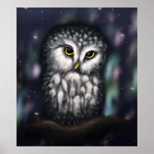 Mystische Eule in der Nacht im Norden Poster