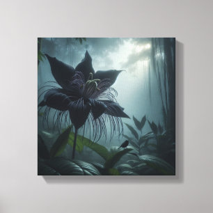 Mystische Fledermausblume mit tropischem Vogel im  Leinwanddruck