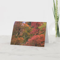 Mystische Gruß-Karten des Herbst-(3)