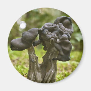 Mystische Pilze Magnet