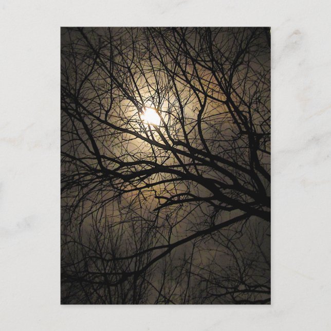 Mystischer Mond Postkarte (Vorderseite)