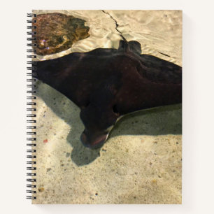 Mystischer Stachelrochen Notizbuch