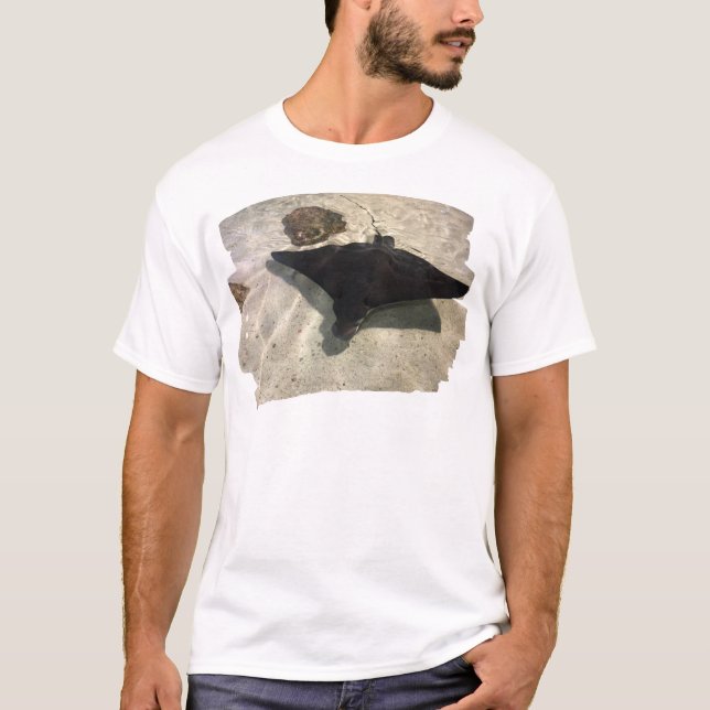 Mystischer Stachelrochen T-Shirt (Vorderseite)