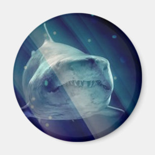 Mystischer Unterwasserhai Magnet