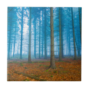 Mystischer Wald am Nebel in blau und orange Fliese