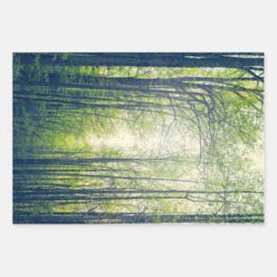 Mystischer Wald Geschenkpapier Set