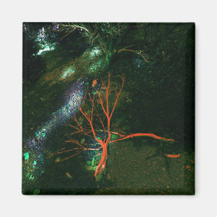 Mystischer Wald... Magnet