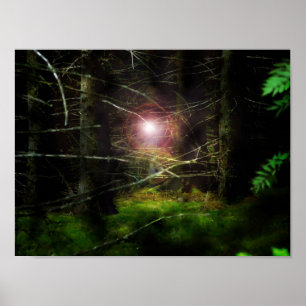 Mystischer Wald Poster