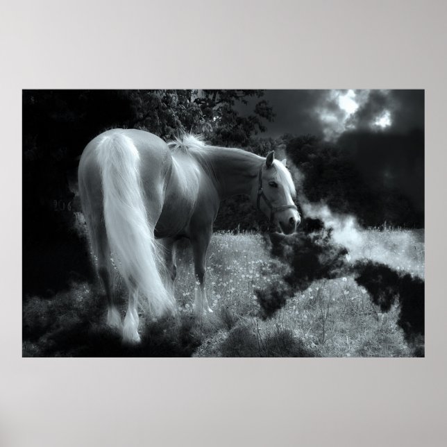 mystisches Nachtpferd Poster (Vorne)