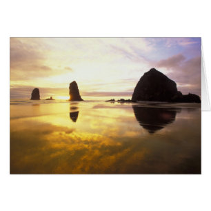 N.A., États-Unis, Oregon, Coucher de soleil à Cann