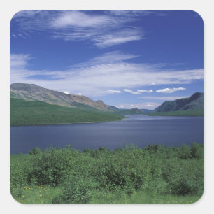 N.A., Kanada, Neufundland, Grose Morne-Forelle Quadratischer Aufkleber