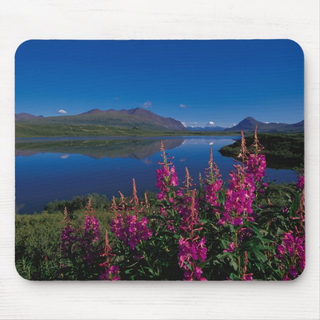 N.A., USA, Alaska, Alaska Range Common Mousepad (Vorne)
