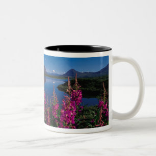 N.A., USA, Alaska, Alaska Range Common Zweifarbige Tasse