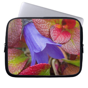 N.A., USA, Alaska. Bluebell in der Tundra in Laptopschutzhülle