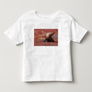 N.A., USA, Alaska, Denali National Park, Bulle Kleinkind T-shirt