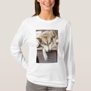 N.A., USA, Alaska Husky-Schlitten T-Shirt