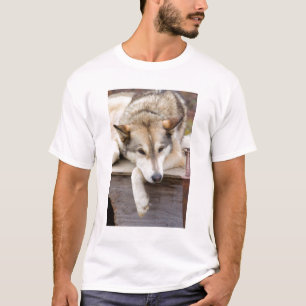 N.A., USA, Alaska. Husky-Schlittenhunde T-Shirt